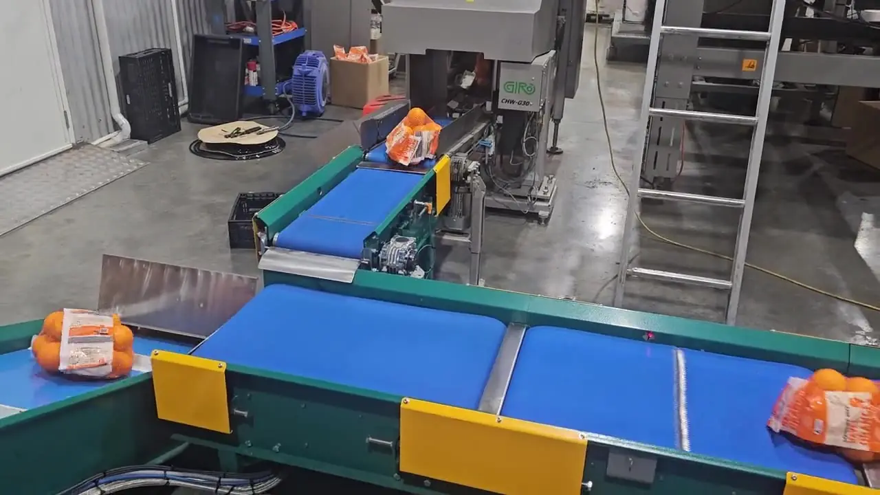 Citrus bags running on the commissioned packing conveyors